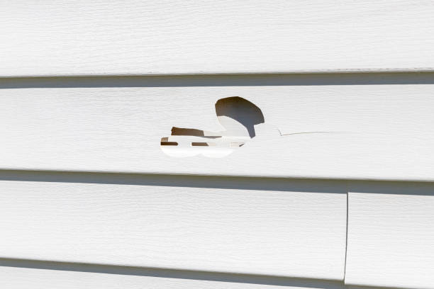 Best Storm Damage Siding Repair  in Millers Creek, NC