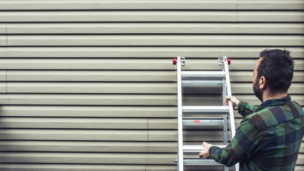Best Stone Veneer Siding  in Millers Creek, NC