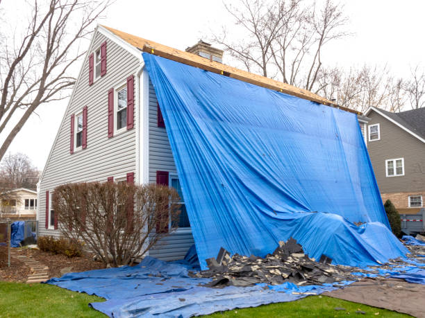 Best Historical Building Siding Restoration  in Millers Creek, NC